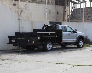 custom douglass truck - 82395_5